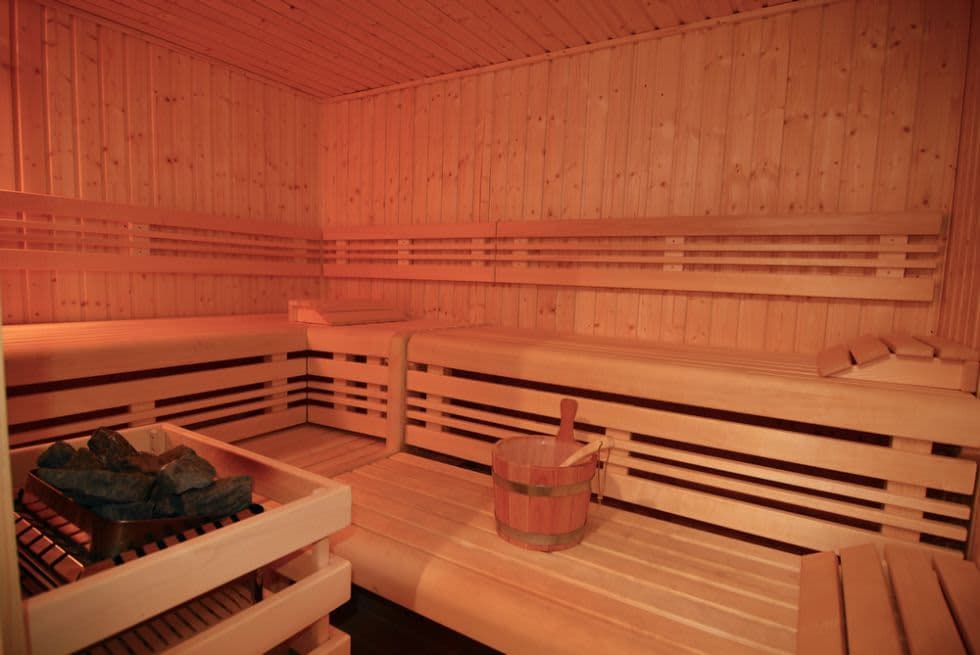 chalet_papillon6_sauna
