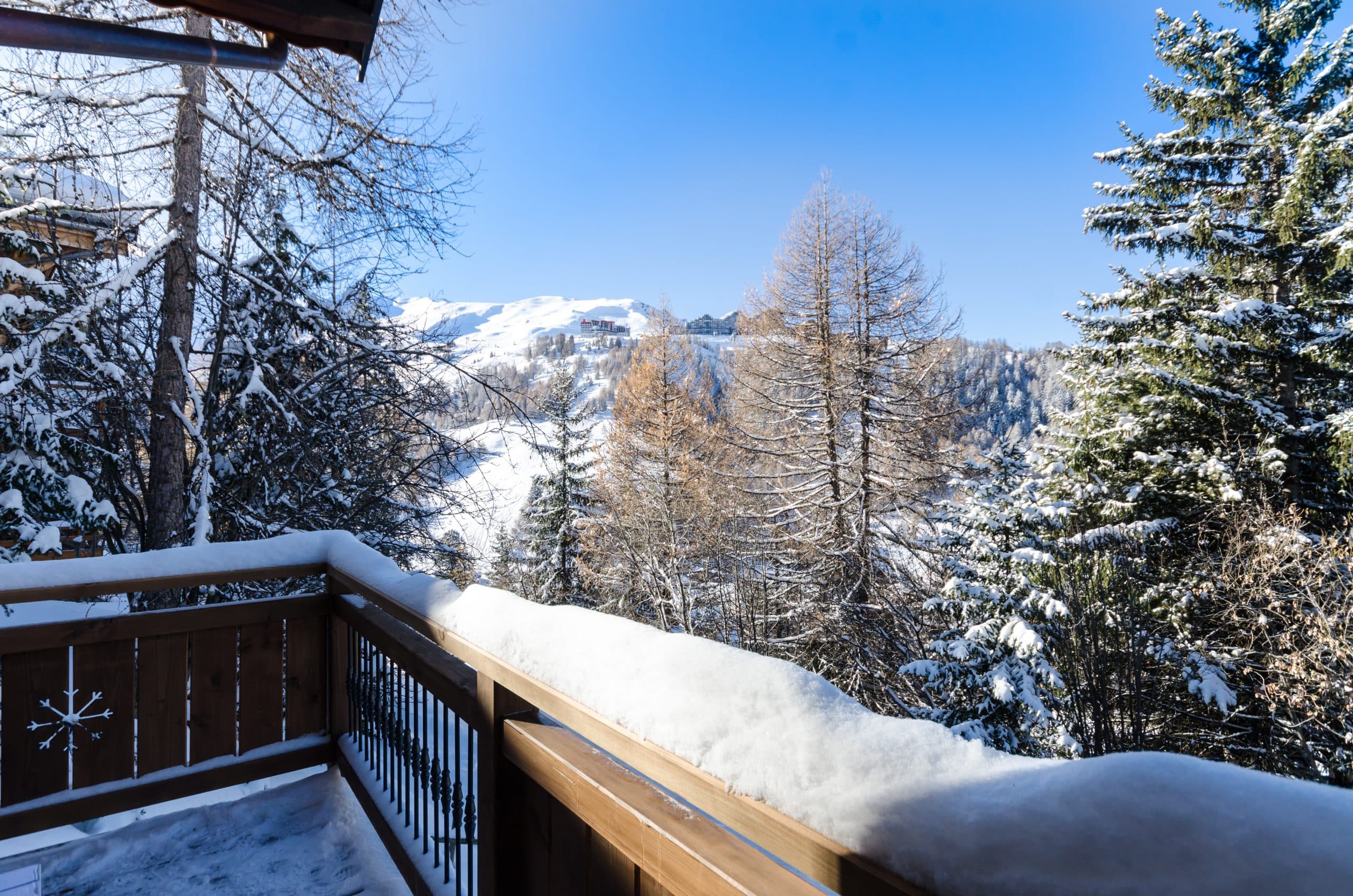 Ammonite_MountainHeaven-38