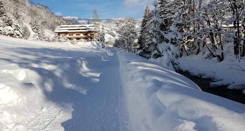 Gardenhotel Theresia Exterior View