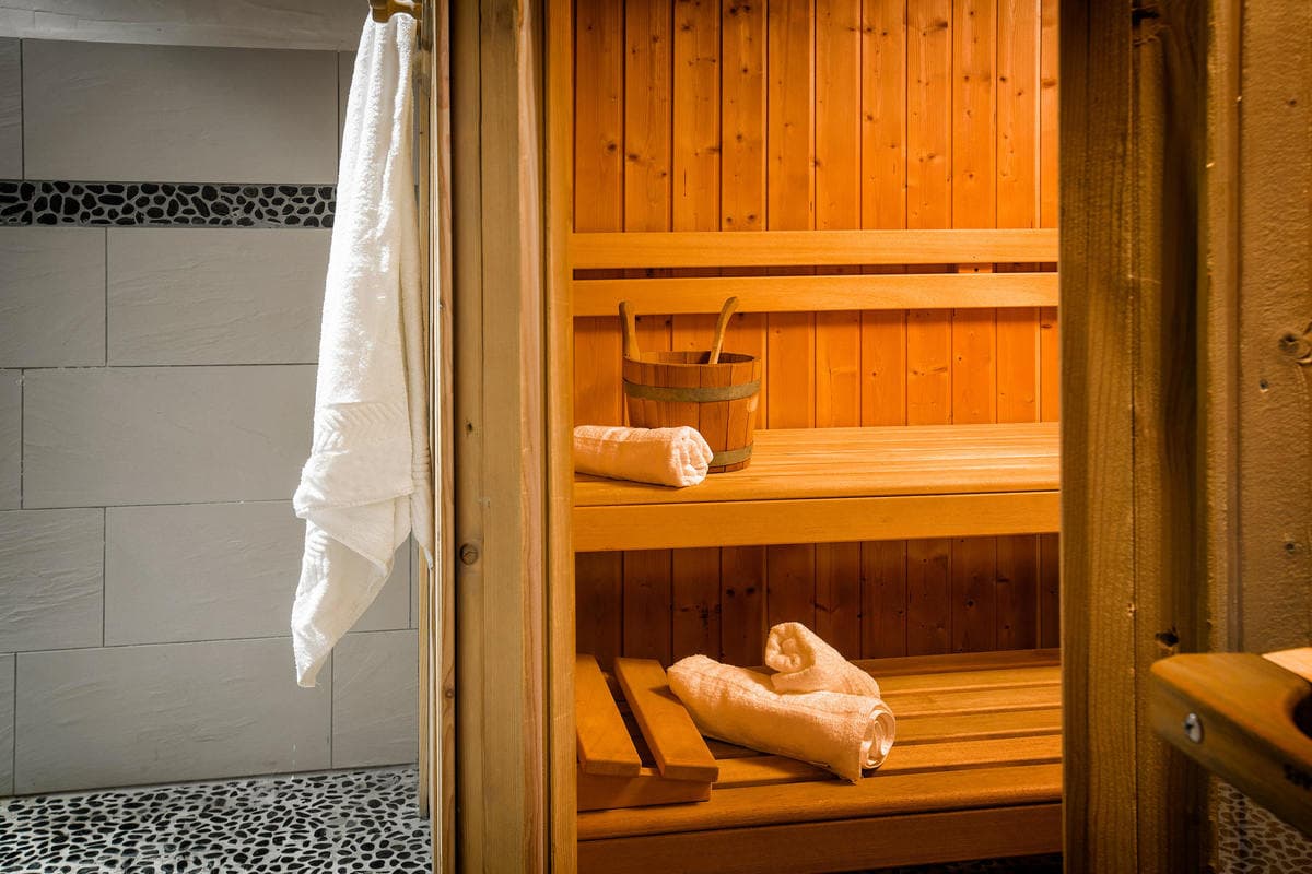 Chalet_Grandes_Alpes_La_Rosiere (7)