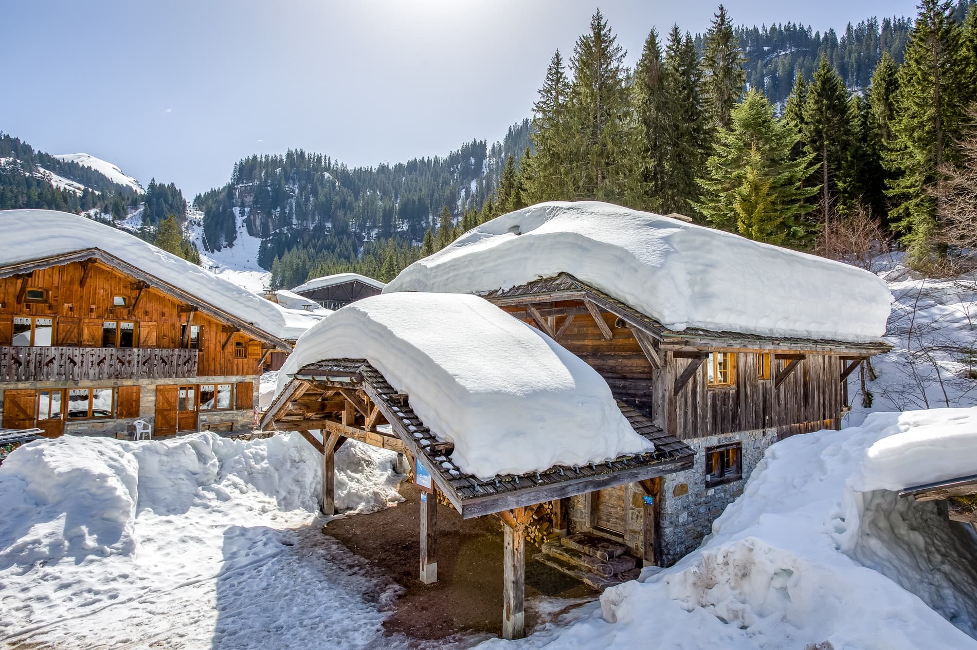 741A9599_600_601_602_603-Edit