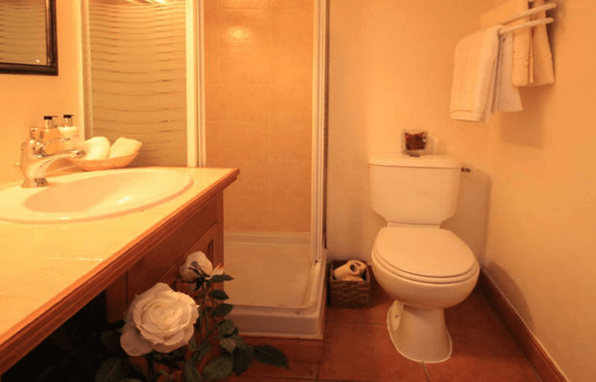 chalet clouds bathroom