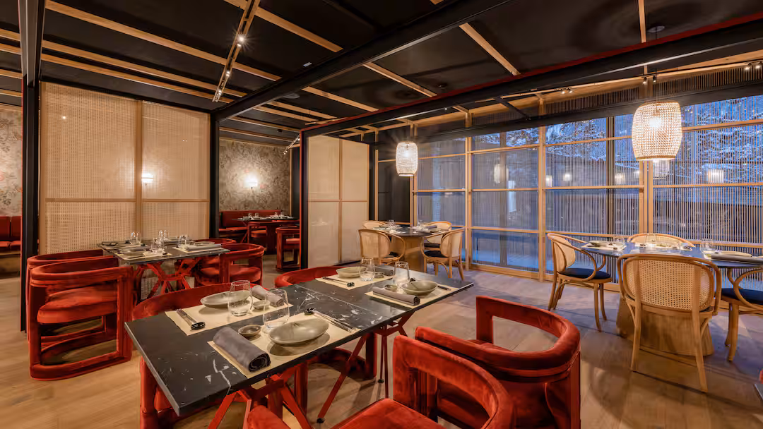 AND_SOL_005_80WebOriginalCompressed