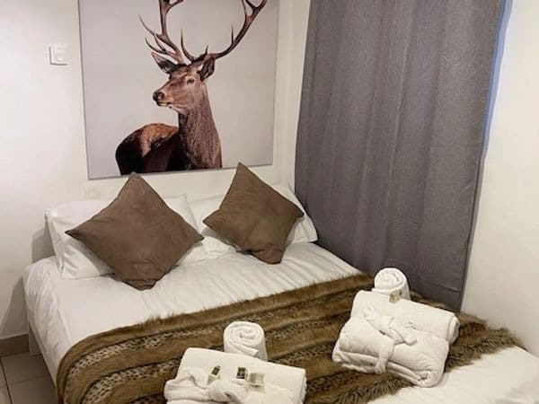 rsw600,h451.12781954887214,cgtru