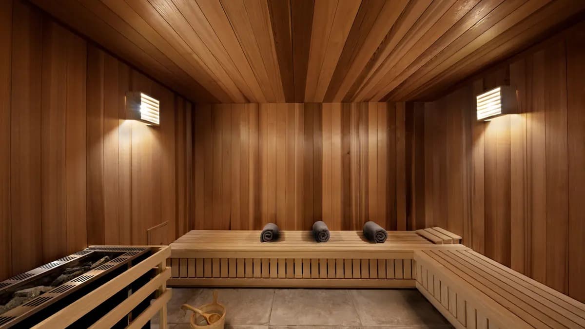 hotel_alhena_flaine_sauna-w1200