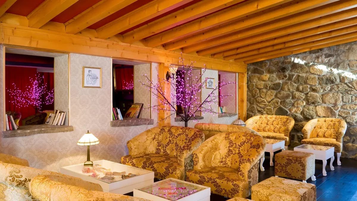 hotel_ibiza_les_deux_alpes_loung (2)