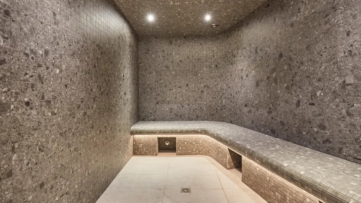 residence_ecrin_blanc_la_rosiere (4)