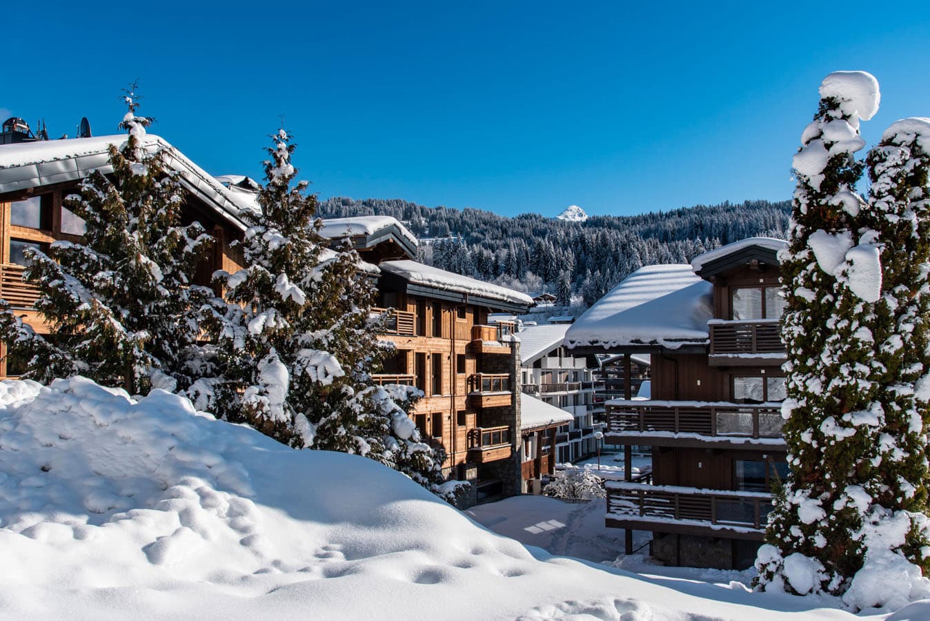 Alpine Lodge