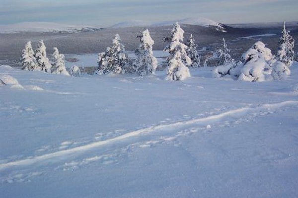 Yllas ski resort