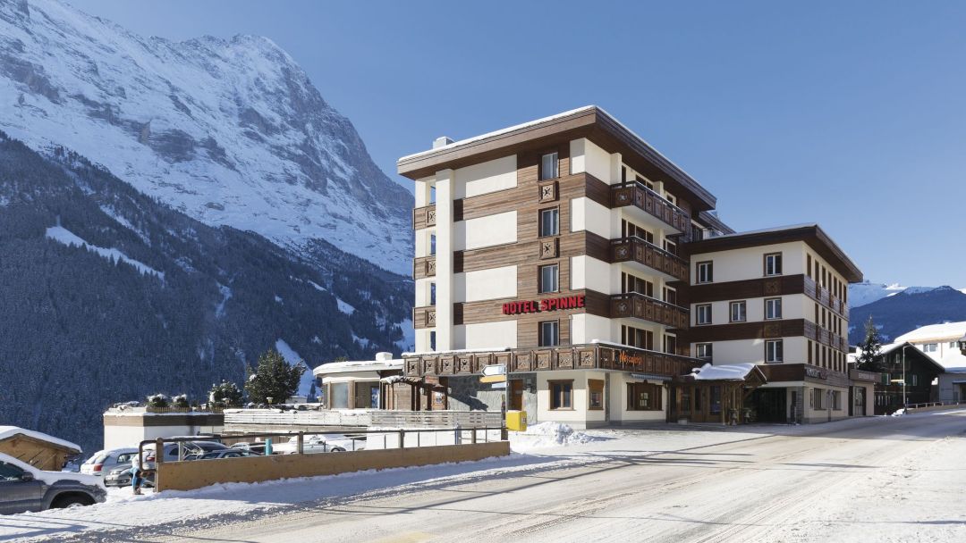 Hotel Spinne