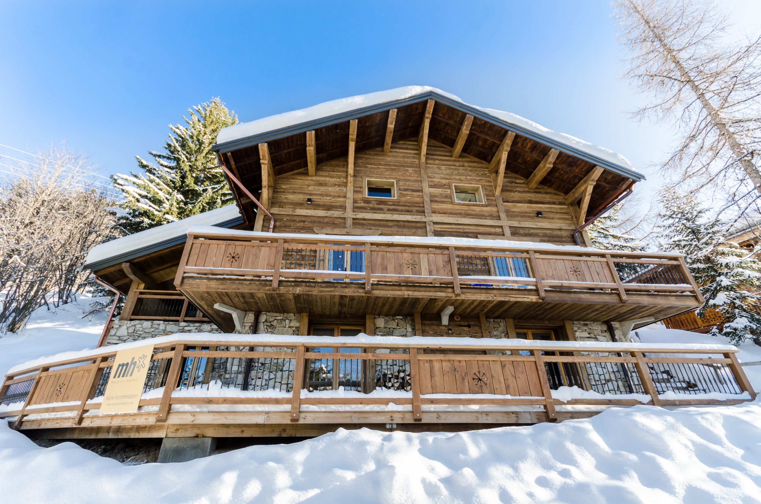 Chalet Ammonite